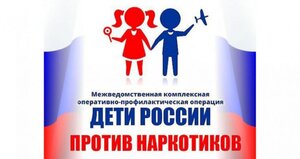 Межведомственная комплексная оперативно-профилактическая операция