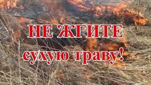 НЕ ЖГИТЕ СУХУЮ ТРАВУ!!