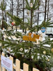 Наше учреждение приняло участие в проекте Аллея ёлок