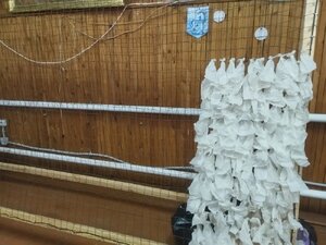 Неравнодушные жители села Крапивье приступили к плетению очередной маскировочной сети для наших бойцов.