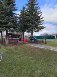 Жители села Омутское приняли участие в общероссийской патриотической акции